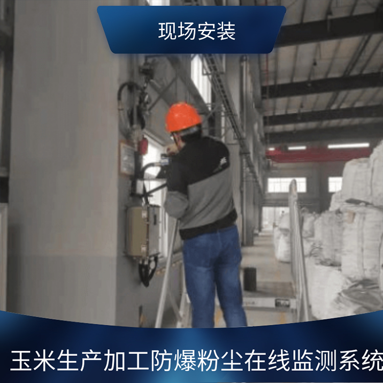 玉米生产加工防爆粉尘在线监测系统