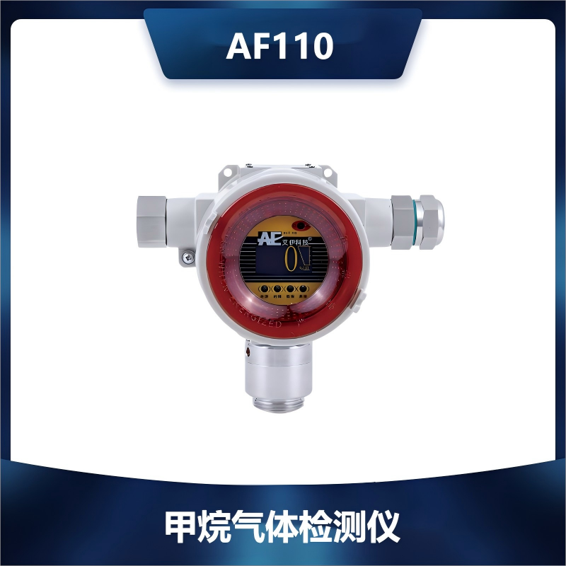 AF110甲烷气体检测仪